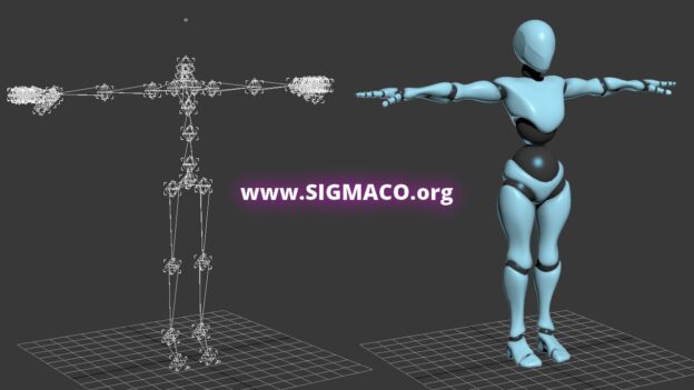 Skeletal-animation-3d-computer-sigma-sigmaco. Jpg